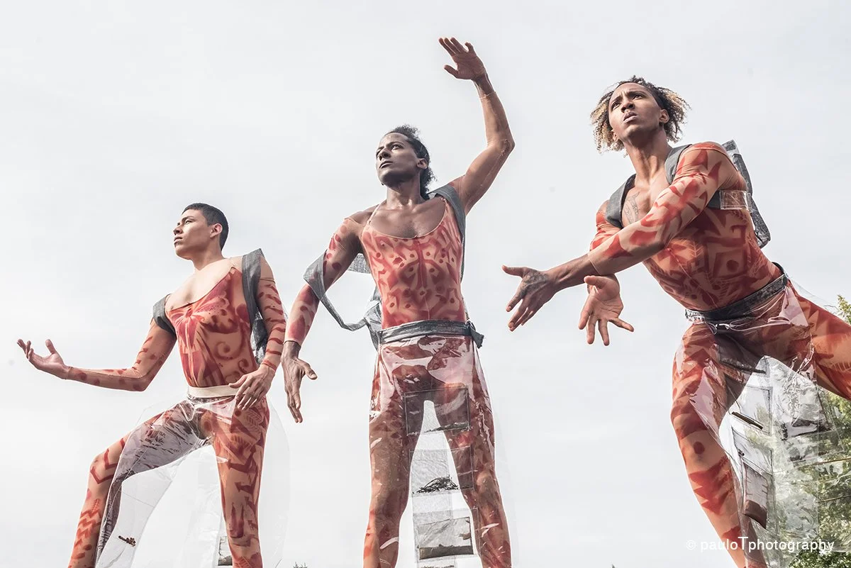 General 1 — Dancing Earth Creations